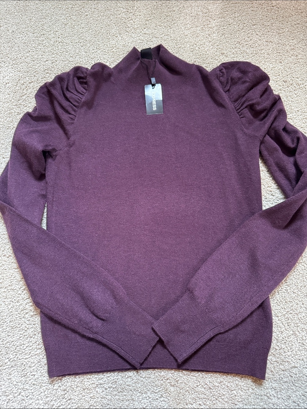 Express Plum Mock Neck Sweater with Subtle Texture